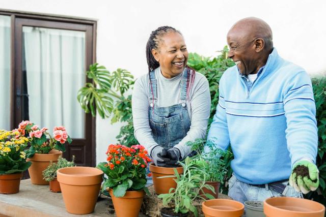 Couple gardening